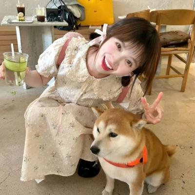 雾中之犬